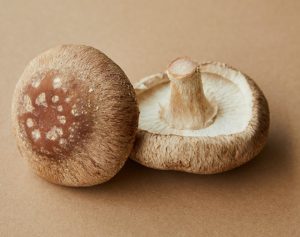 mushroom-chocolate-2