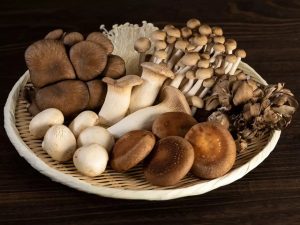 Mushroom-1